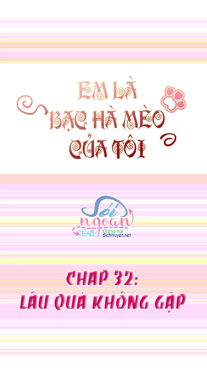 Em Là Bạc Hà Mèo Của Tôi Chapter 32 - 1