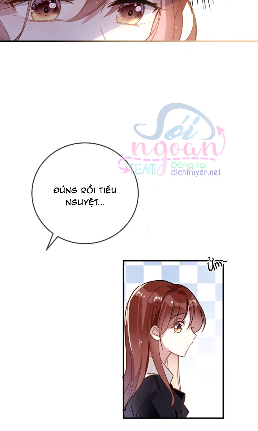 Em Là Bạc Hà Mèo Của Tôi Chapter 32 - 26