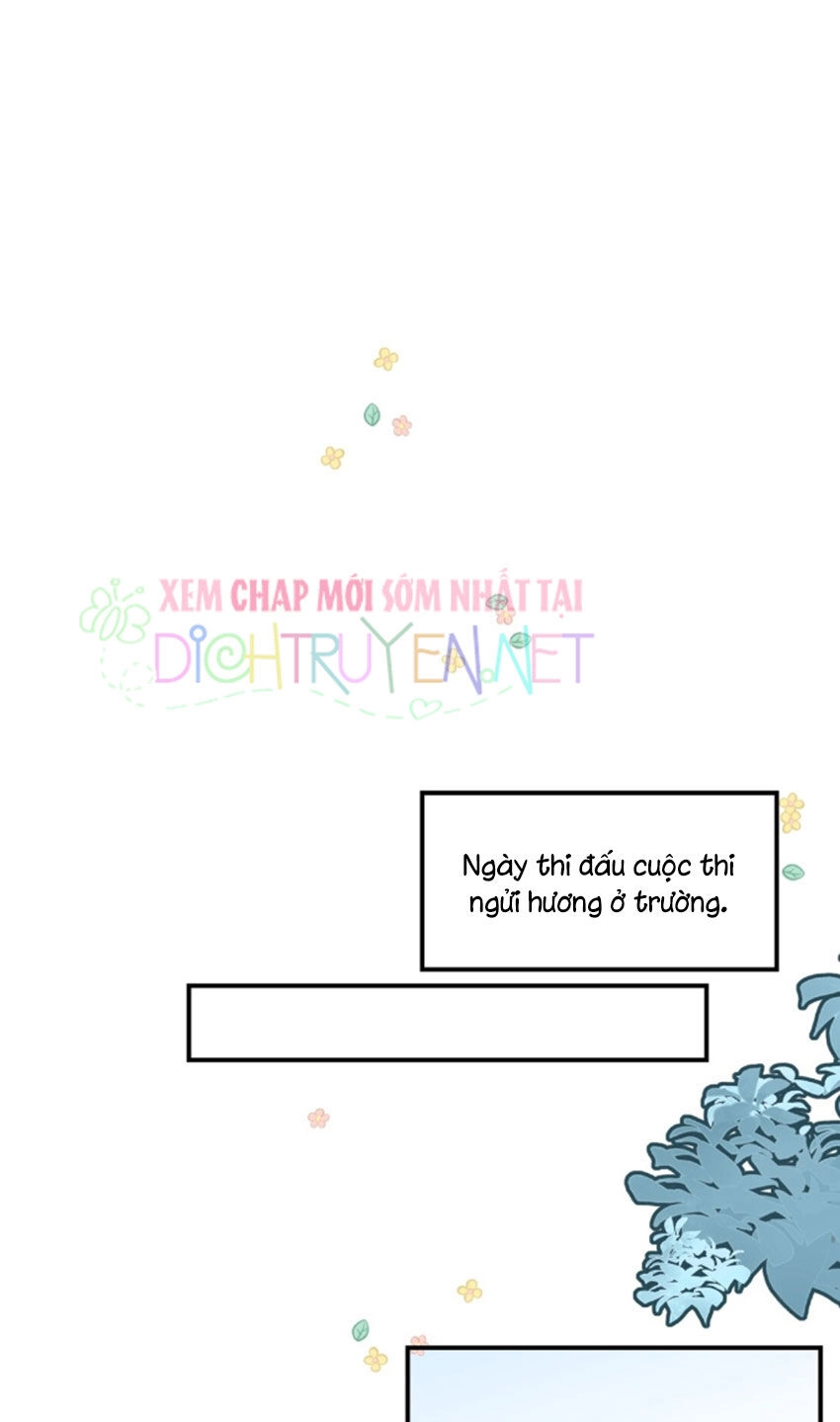 Em Là Bạc Hà Mèo Của Tôi Chapter 32 - 29