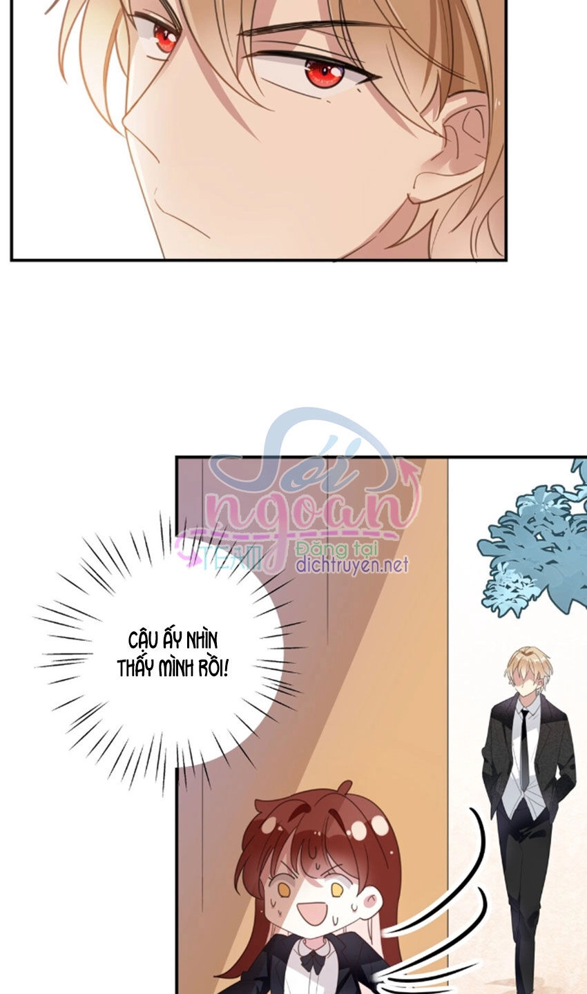 Em Là Bạc Hà Mèo Của Tôi Chapter 32 - 32