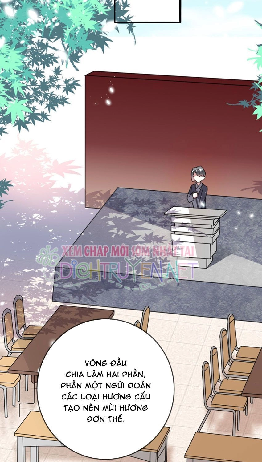 Em Là Bạc Hà Mèo Của Tôi Chapter 33 - 13