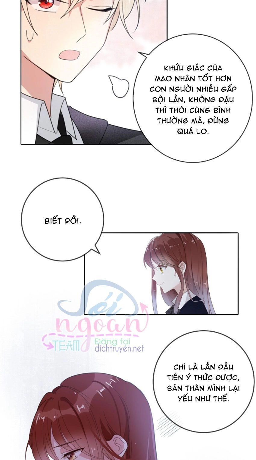 Em Là Bạc Hà Mèo Của Tôi Chapter 33 - 29