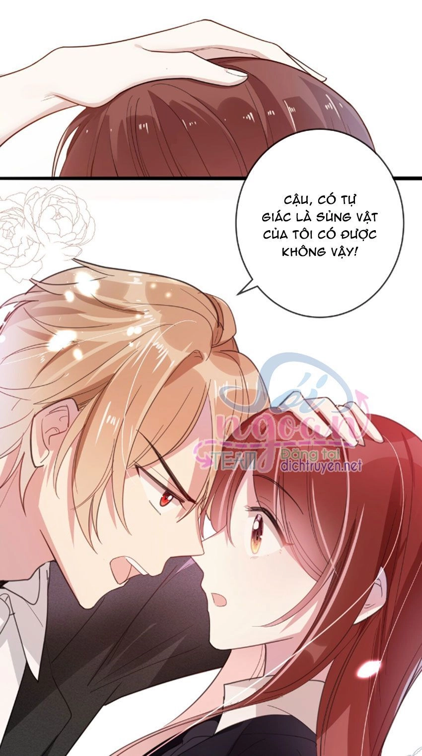 Em Là Bạc Hà Mèo Của Tôi Chapter 33 - 31