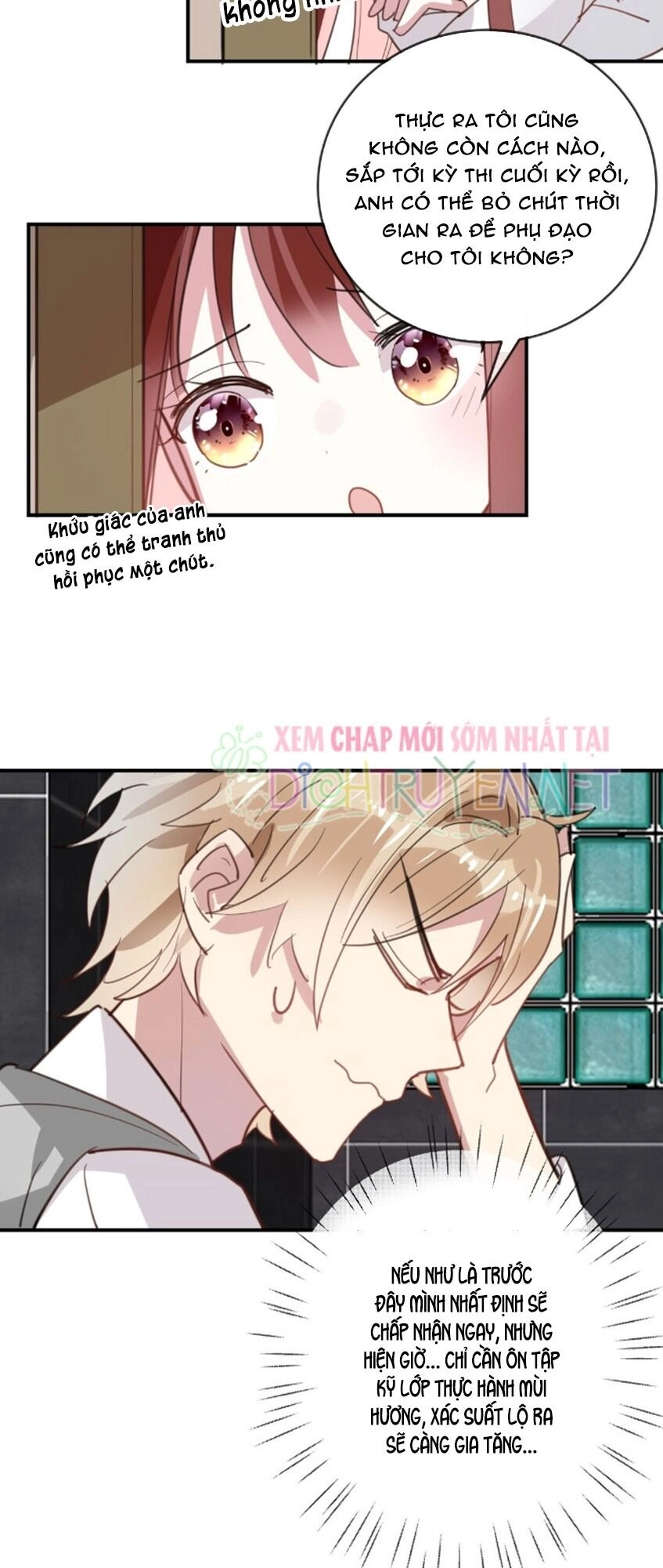 Em Là Bạc Hà Mèo Của Tôi Chapter 41 - 14