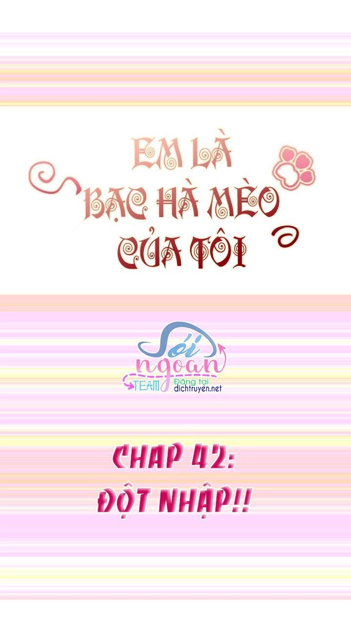 Em Là Bạc Hà Mèo Của Tôi Chapter 42 - 1