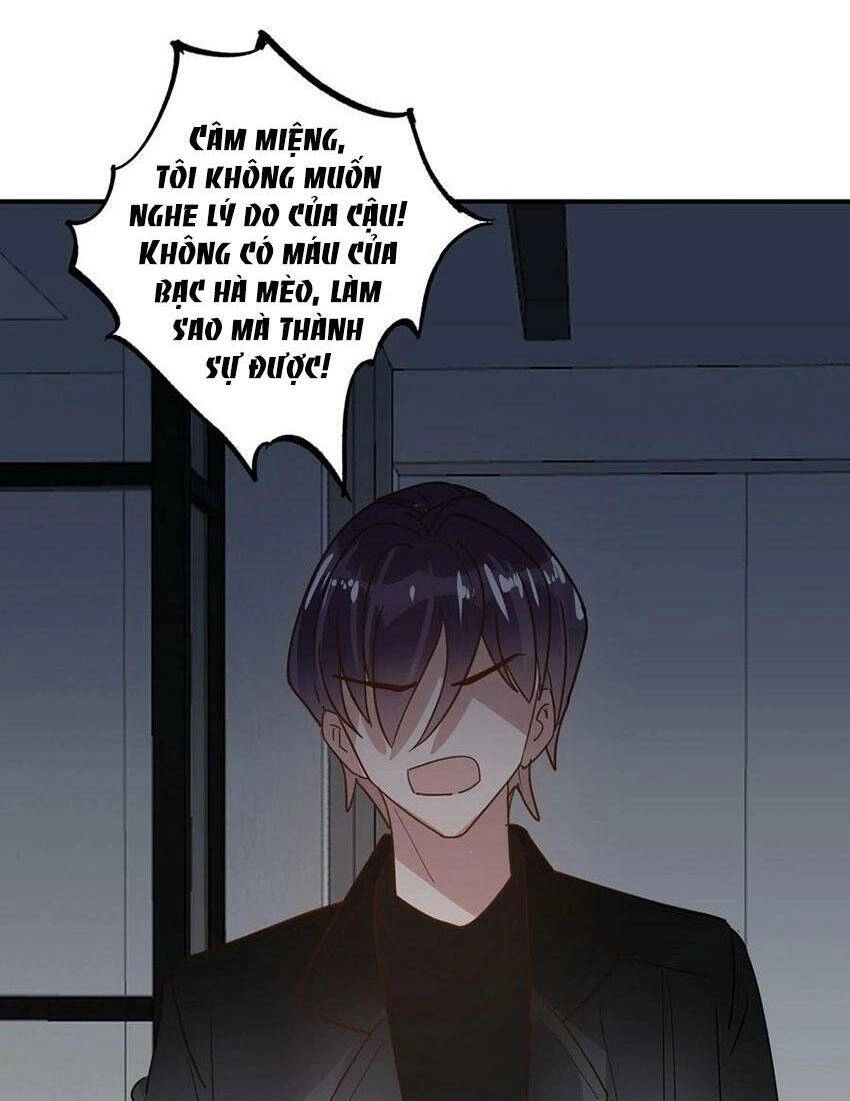 Em Là Bạc Hà Mèo Của Tôi Chapter 48 - 31