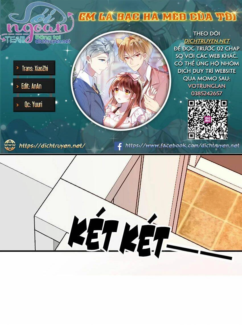 Em Là Bạc Hà Mèo Của Tôi Chapter 49 - 2