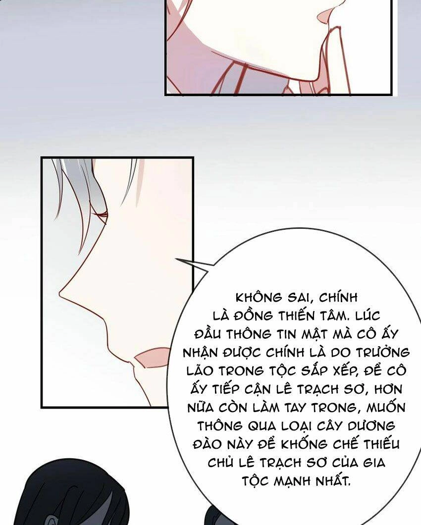 Em Là Bạc Hà Mèo Của Tôi Chapter 49 - 24