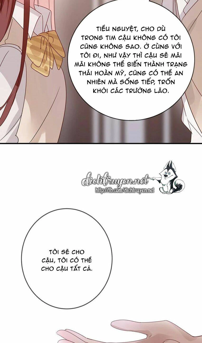 Em Là Bạc Hà Mèo Của Tôi Chapter 50 - 3