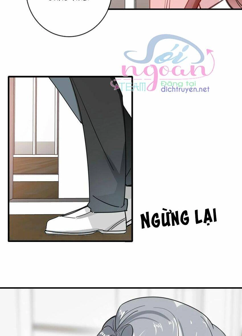 Em Là Bạc Hà Mèo Của Tôi Chapter 50 - 17