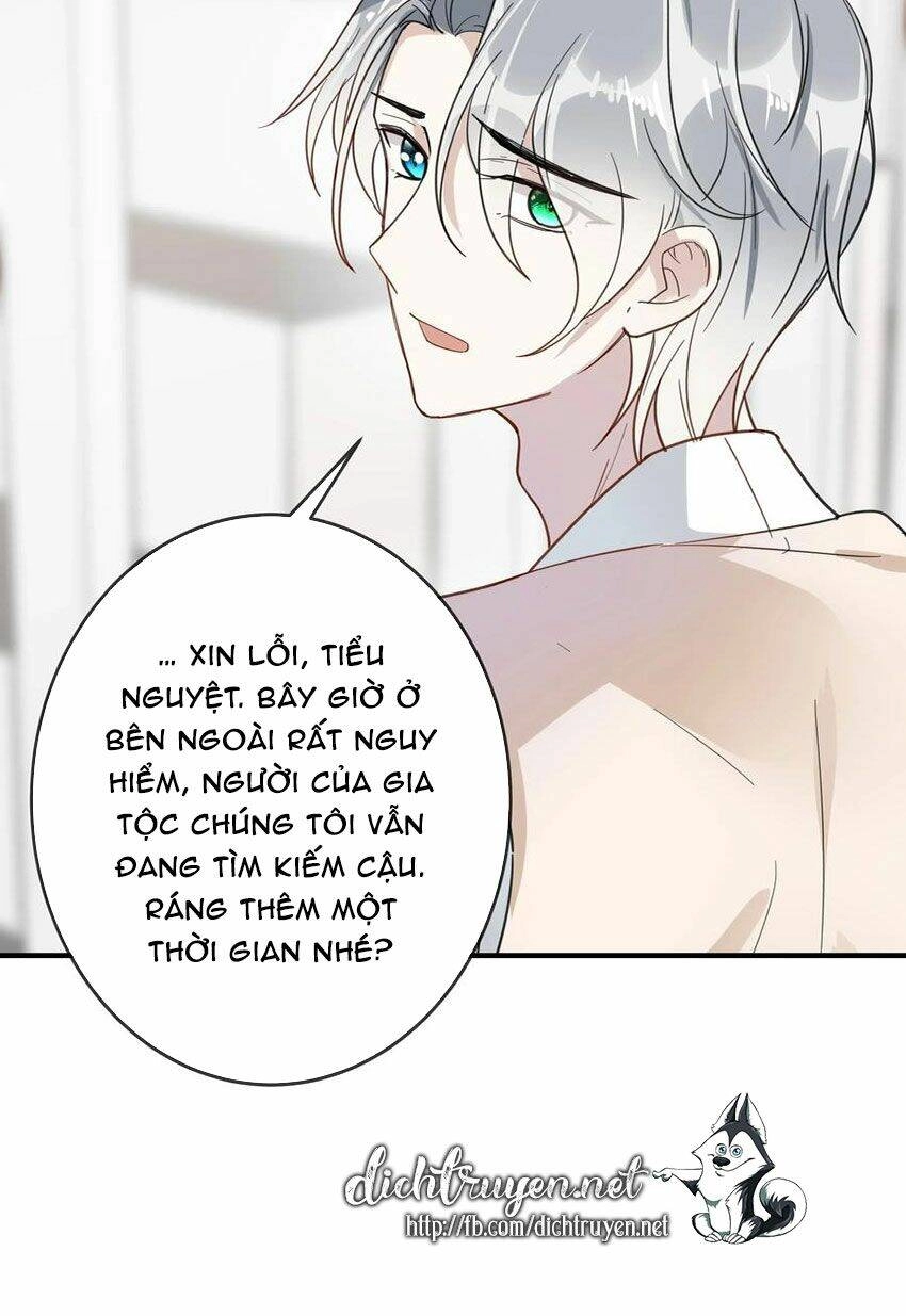 Em Là Bạc Hà Mèo Của Tôi Chapter 50 - 18