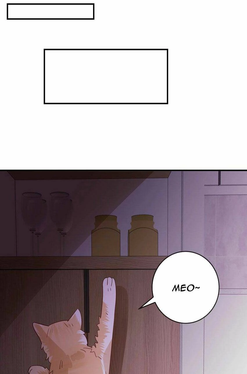 Em Là Bạc Hà Mèo Của Tôi Chapter 50 - 23