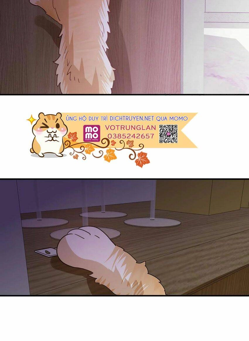 Em Là Bạc Hà Mèo Của Tôi Chapter 50 - 24