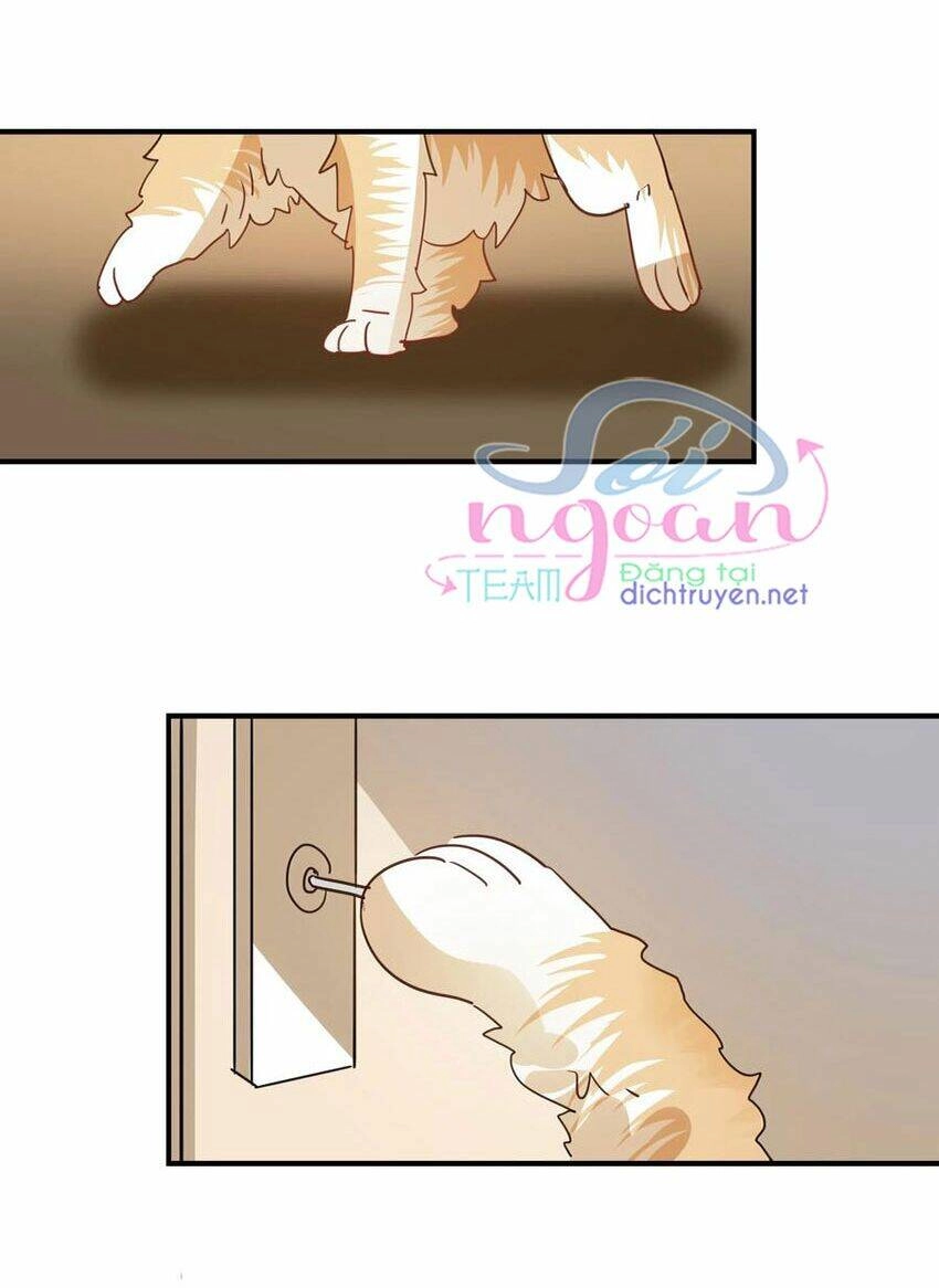 Em Là Bạc Hà Mèo Của Tôi Chapter 50 - 25