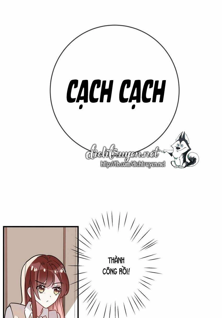 Em Là Bạc Hà Mèo Của Tôi Chapter 50 - 26