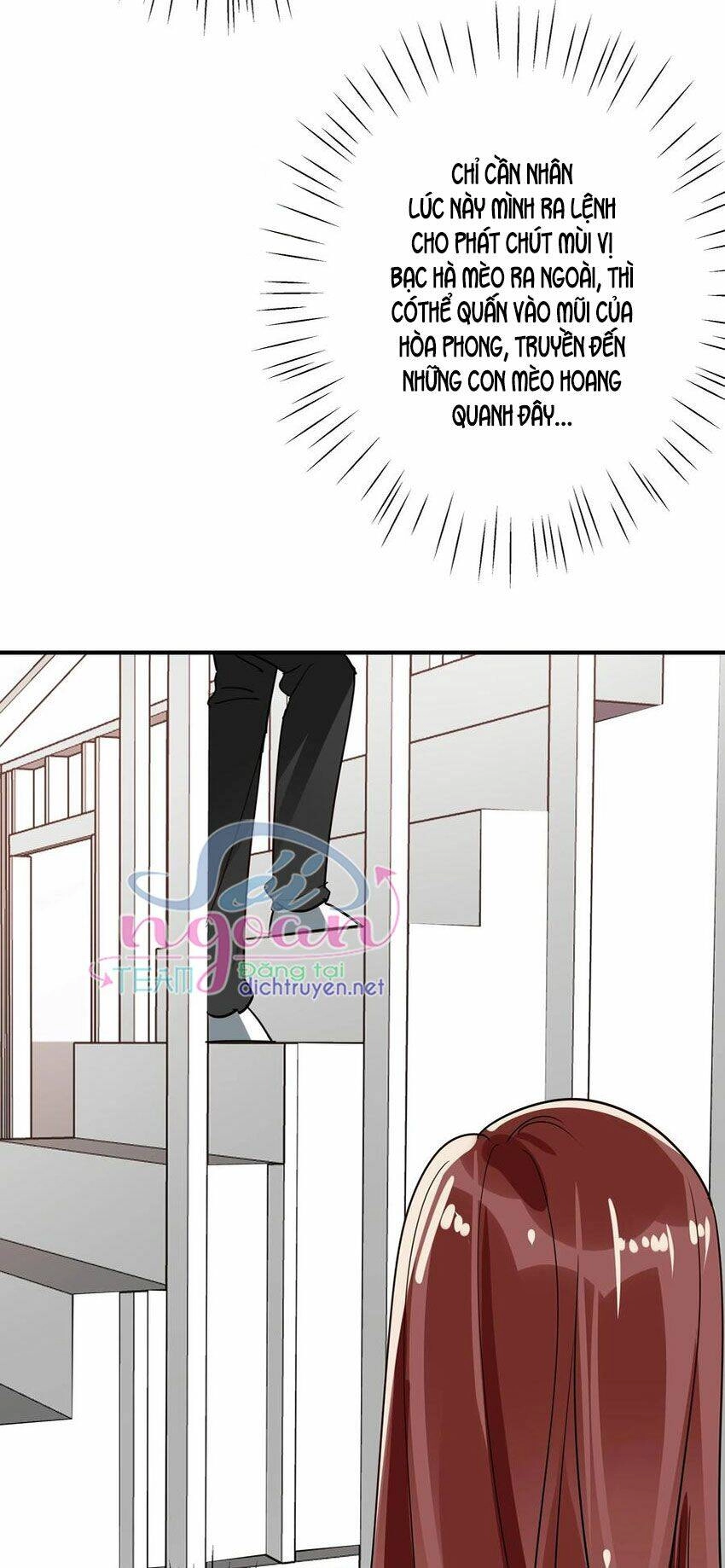 Em Là Bạc Hà Mèo Của Tôi Chapter 50 - 28