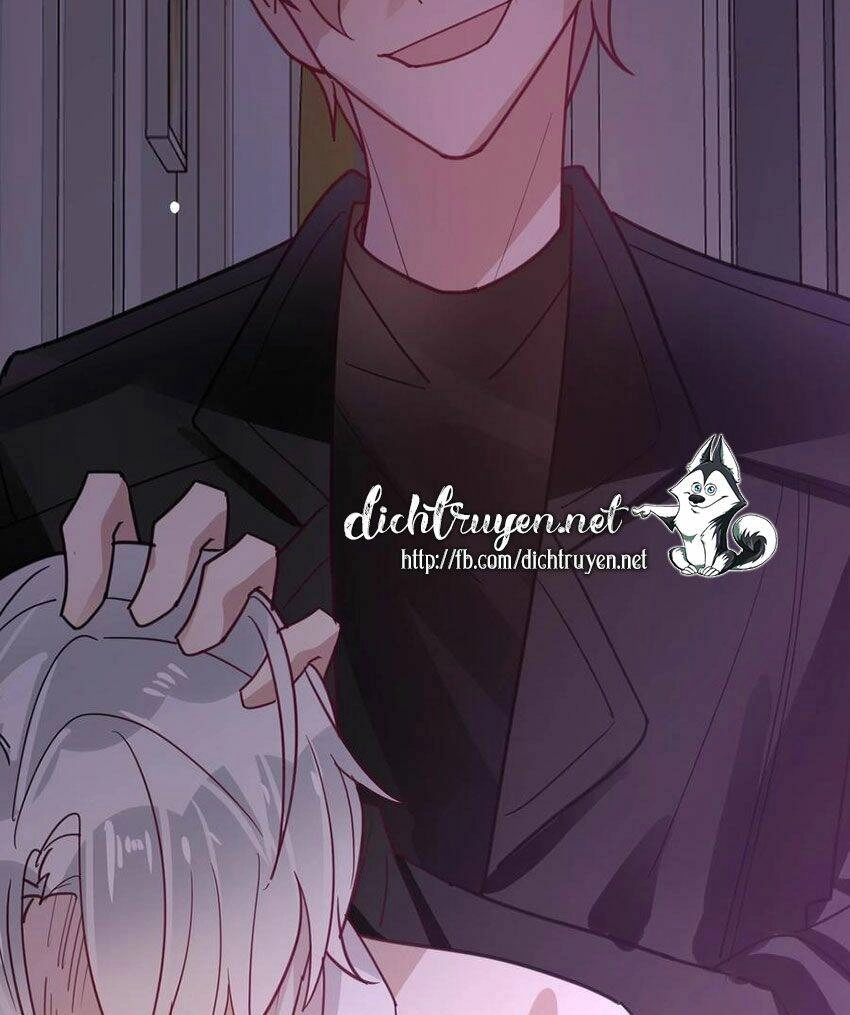 Em Là Bạc Hà Mèo Của Tôi Chapter 50 - 33