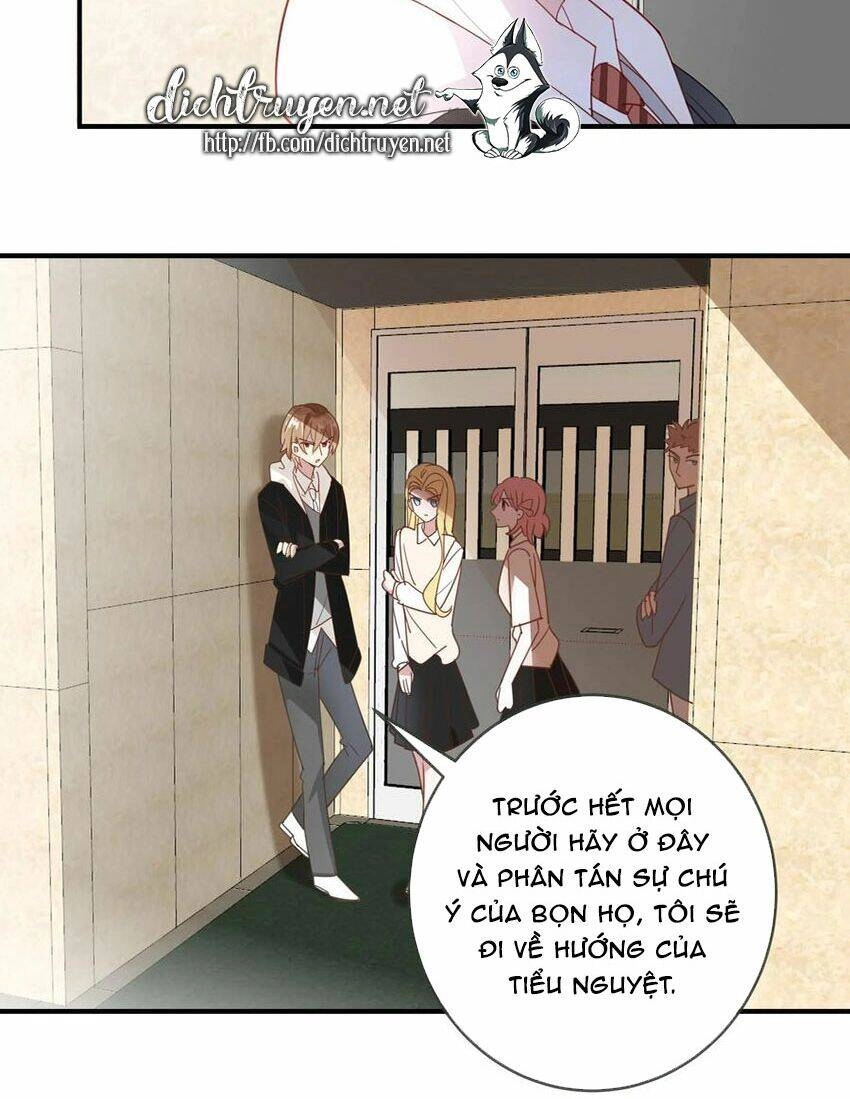 Em Là Bạc Hà Mèo Của Tôi Chapter 51 - 12