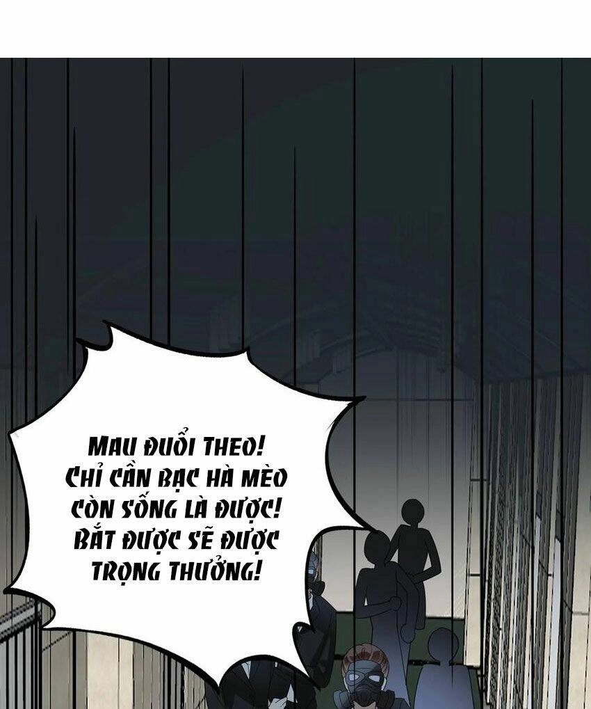 Em Là Bạc Hà Mèo Của Tôi Chapter 51 - 20