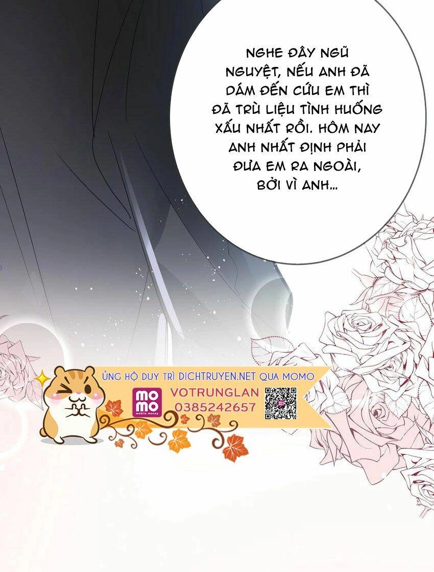 Em Là Bạc Hà Mèo Của Tôi Chapter 51 - 35