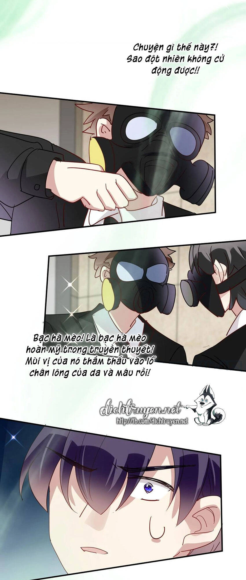 Em Là Bạc Hà Mèo Của Tôi Chapter 52 - 29