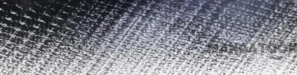 Quận Chúa Cẩn Thận, Đã Định Rồi Khó Đổi Lắm! Chapter 217 - 10