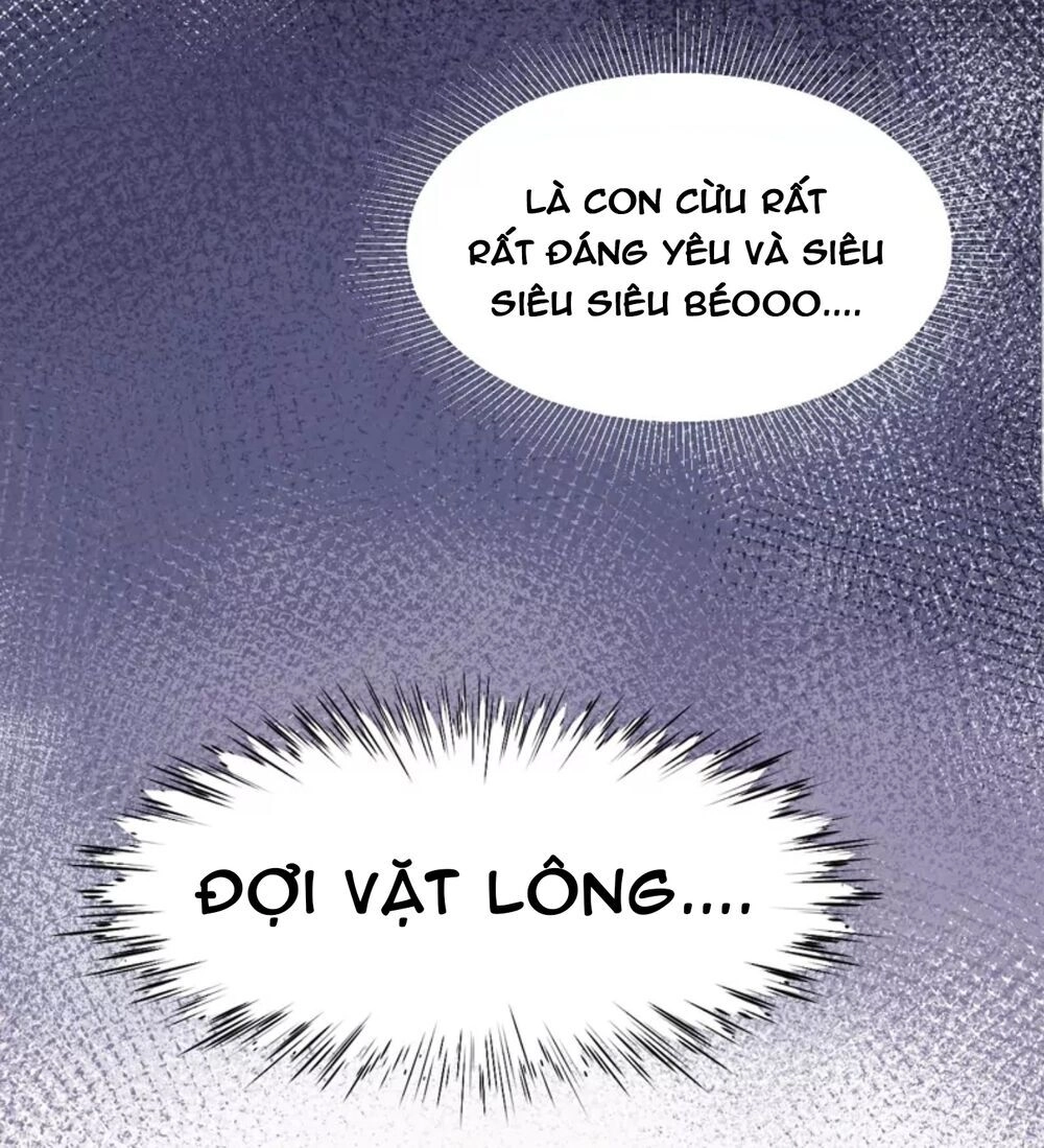 Quận Chúa Cẩn Thận, Đã Định Rồi Khó Đổi Lắm! Chapter 1.5 - 36