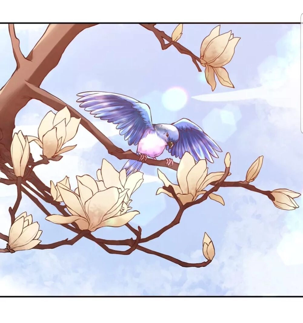 Quận Chúa Cẩn Thận, Đã Định Rồi Khó Đổi Lắm! Chapter 2 - 46