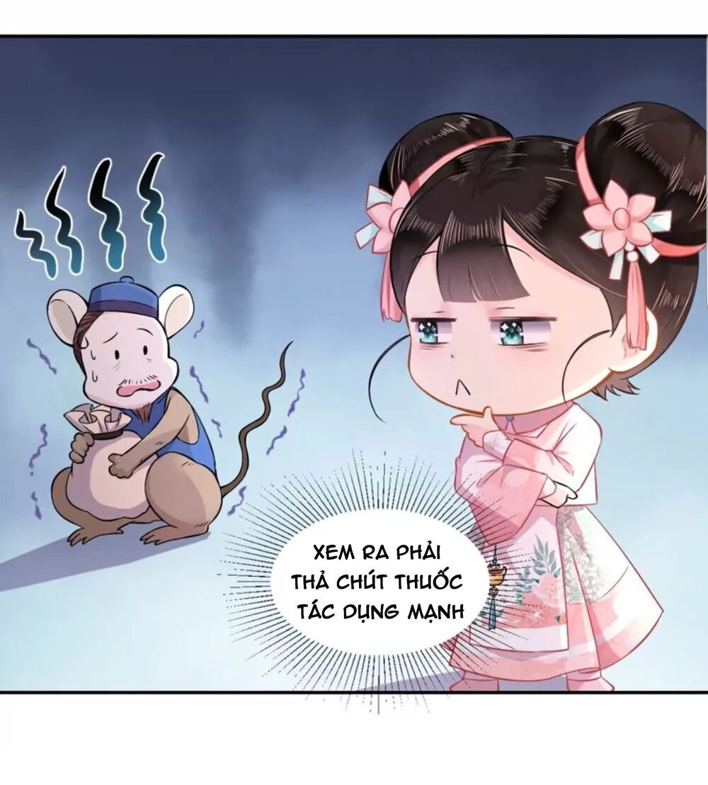 Quận Chúa Cẩn Thận, Đã Định Rồi Khó Đổi Lắm! Chapter 2.5 - 39