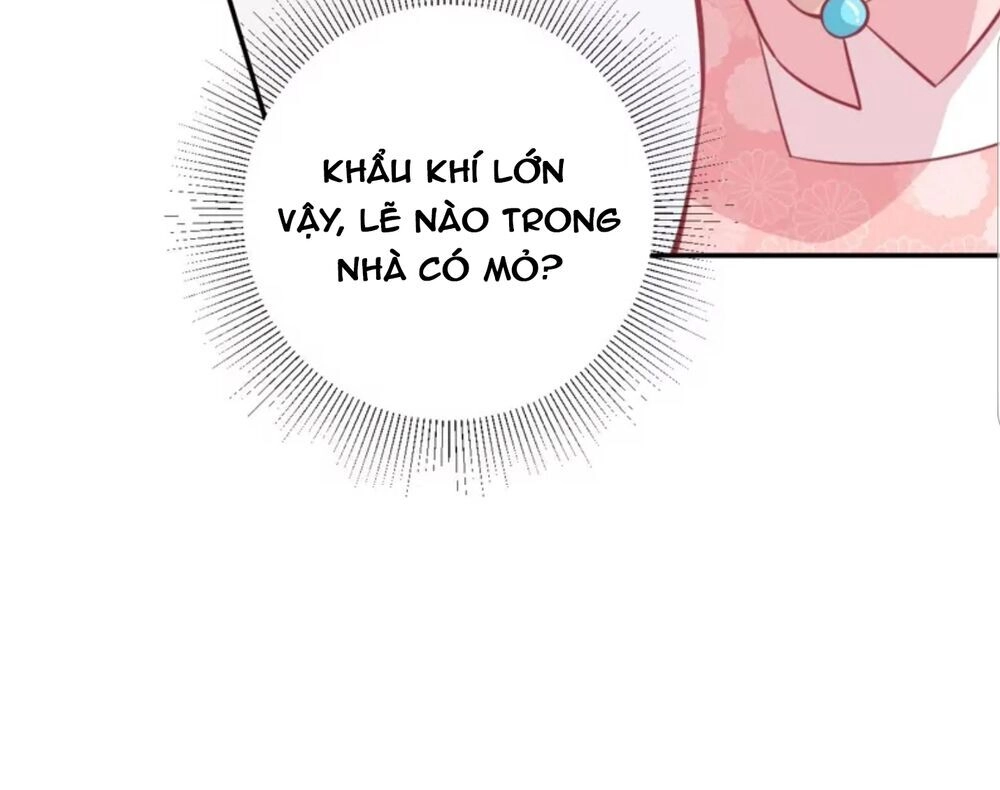 Quận Chúa Cẩn Thận, Đã Định Rồi Khó Đổi Lắm! Chapter 11.5 - 29