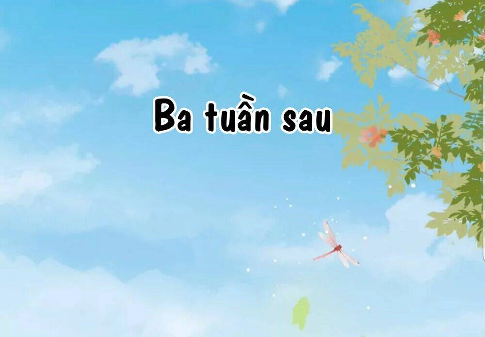 Quận Chúa Cẩn Thận, Đã Định Rồi Khó Đổi Lắm! Chapter 20.5 - 15