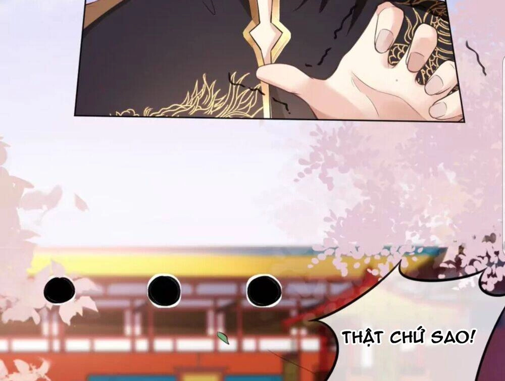 Quận Chúa Cẩn Thận, Đã Định Rồi Khó Đổi Lắm! Chapter 25.5 - 8