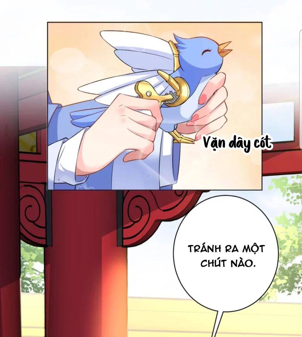 Quận Chúa Cẩn Thận, Đã Định Rồi Khó Đổi Lắm! Chapter 28 - 35