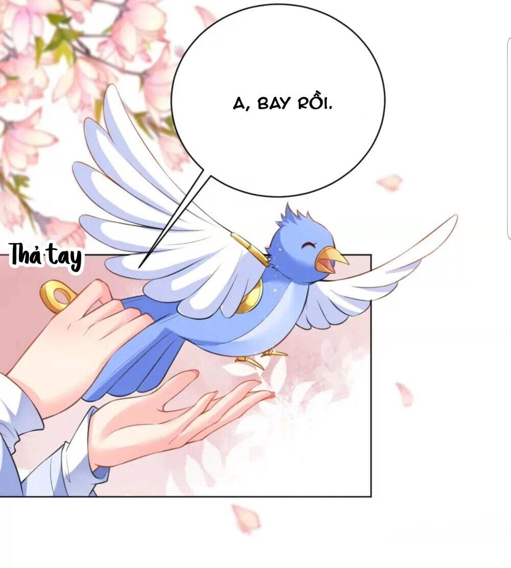 Quận Chúa Cẩn Thận, Đã Định Rồi Khó Đổi Lắm! Chapter 28 - 42