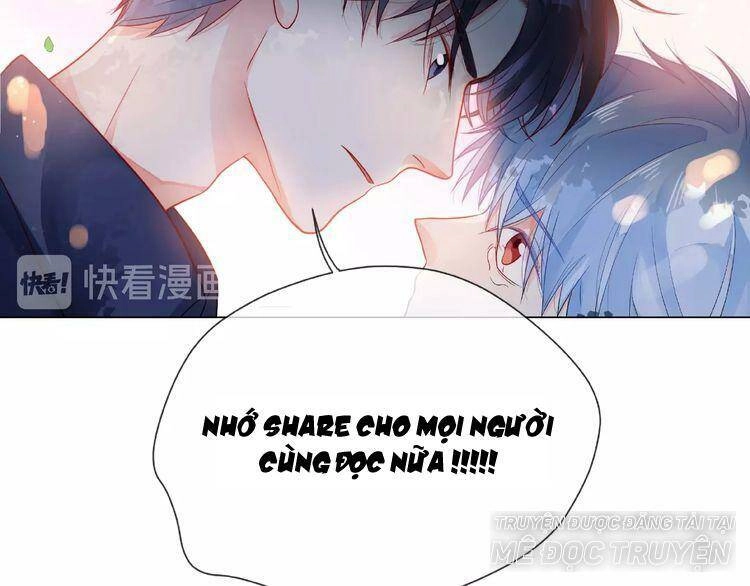 Giai Điệu Của Sự Va Chạm Chapter 42 - 11