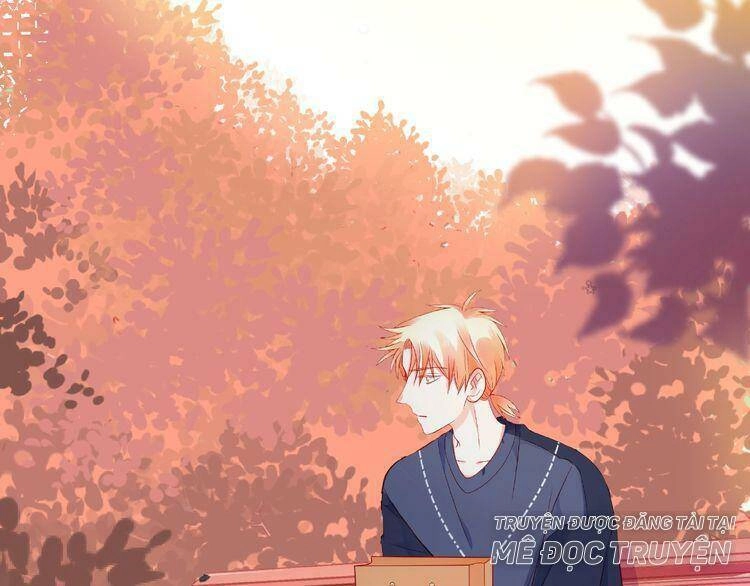 Giai Điệu Của Sự Va Chạm Chapter 52 - 11