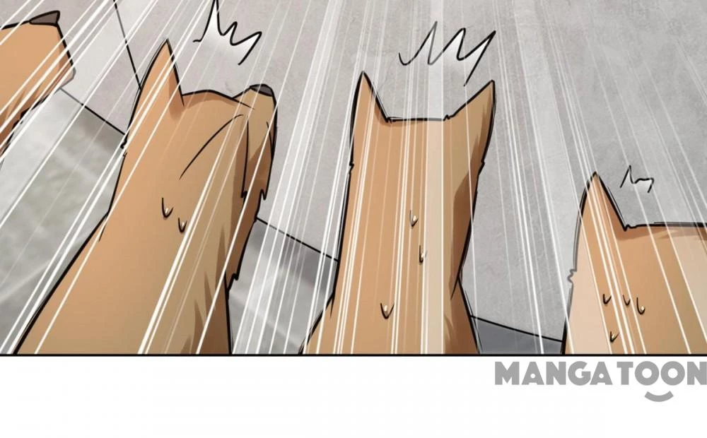 Manh Hổ Trọng Sinh : Tướng Quân Đại Nhân Muốn Ôm Ôm Chapter 33 - 17