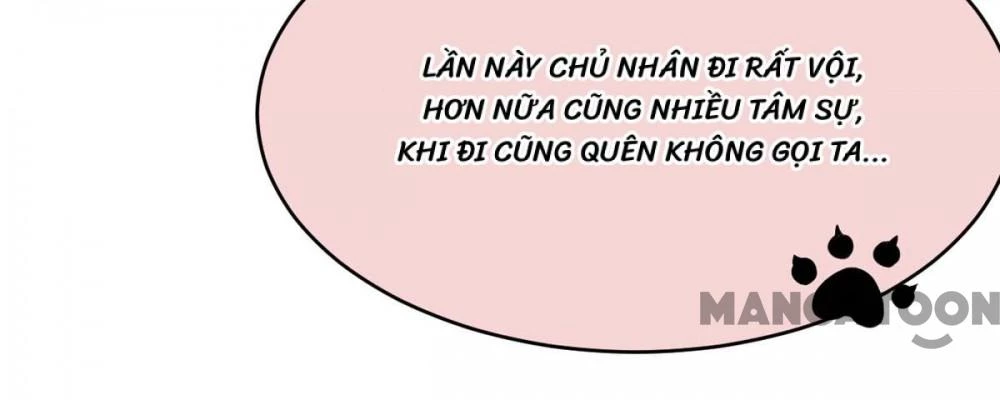 Manh Hổ Trọng Sinh : Tướng Quân Đại Nhân Muốn Ôm Ôm Chapter 39 - 2
