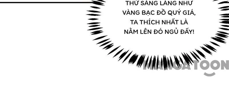 Manh Hổ Trọng Sinh : Tướng Quân Đại Nhân Muốn Ôm Ôm Chapter 62 - 18