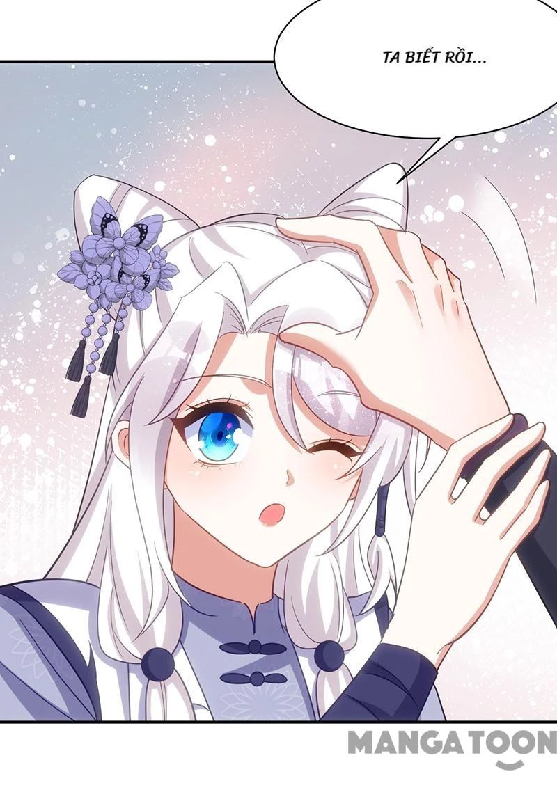 Manh Hổ Trọng Sinh : Tướng Quân Đại Nhân Muốn Ôm Ôm Chapter 113 - 10