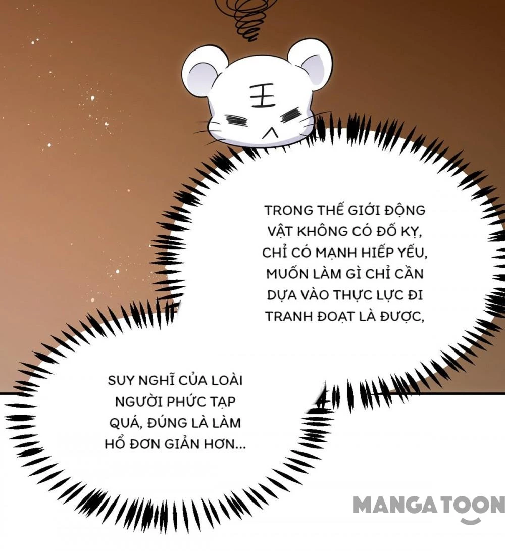 Manh Hổ Trọng Sinh : Tướng Quân Đại Nhân Muốn Ôm Ôm Chapter 145 - 39