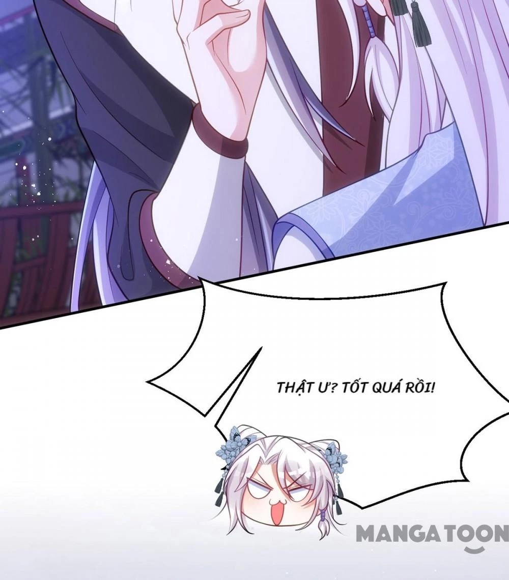 Manh Hổ Trọng Sinh : Tướng Quân Đại Nhân Muốn Ôm Ôm Chapter 149 - 4