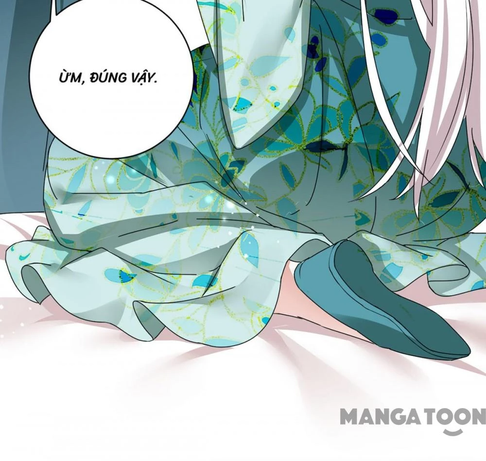 Manh Hổ Trọng Sinh : Tướng Quân Đại Nhân Muốn Ôm Ôm Chapter 193 - 12