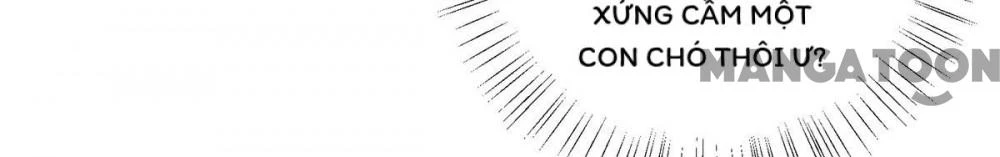 Manh Hổ Trọng Sinh : Tướng Quân Đại Nhân Muốn Ôm Ôm Chapter 195 - 22