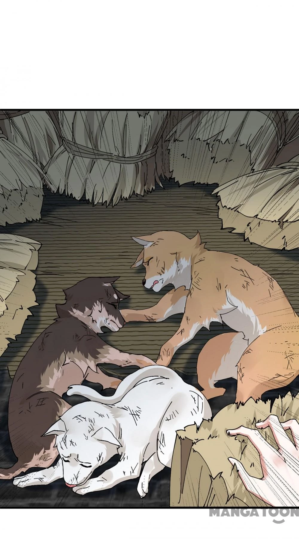 Manh Hổ Trọng Sinh : Tướng Quân Đại Nhân Muốn Ôm Ôm Chapter  198 - 26