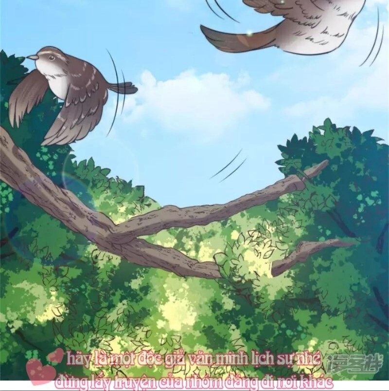 Tổng Tài, Tránh Xa Tôi Ra Chapter 35 - 16