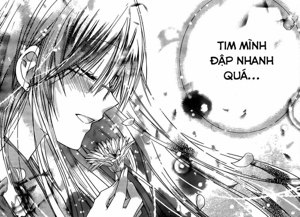 Watashi Ni Xx Shinasai! Chapter 49 - 33