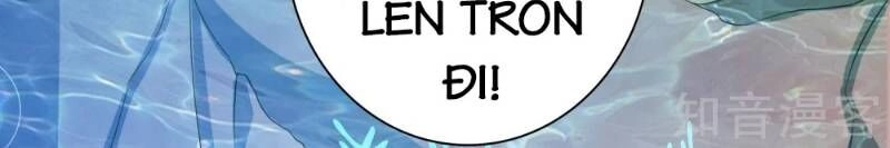 Sư Phụ, Cái Kia Ăn Ngon! Chapter 10 - 12