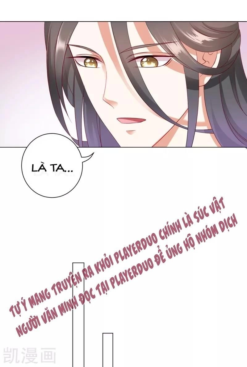 Sư Phụ, Cái Kia Ăn Ngon! Chapter 35 - 17