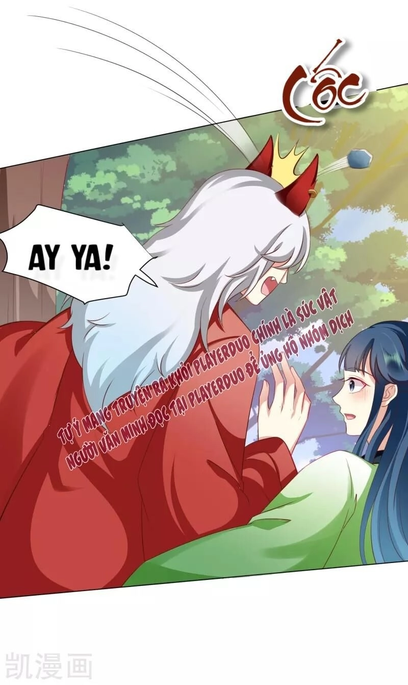 Sư Phụ, Cái Kia Ăn Ngon! Chapter 42 - 26